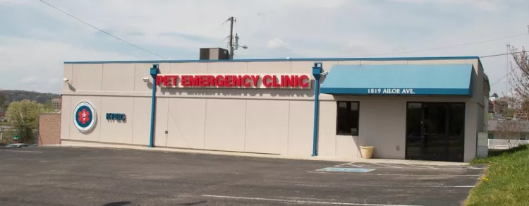 Knoxville  Pet Emergency Clinic, Tennessee, Knoxville